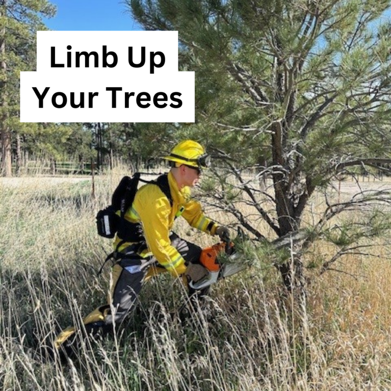 A firefighter using a chainsaw on the lower limbs of a tree with the caption "Limb Up Your Trees"