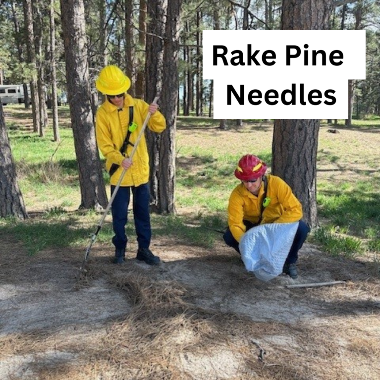 Two firefighters raking pine needles with the caption "Rake Pine Needles"