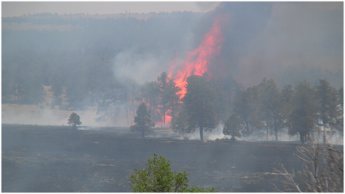 Fire in Elbert County